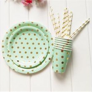 Disposable Plastic Birthday Party Tableware Dinner Plate Napkin